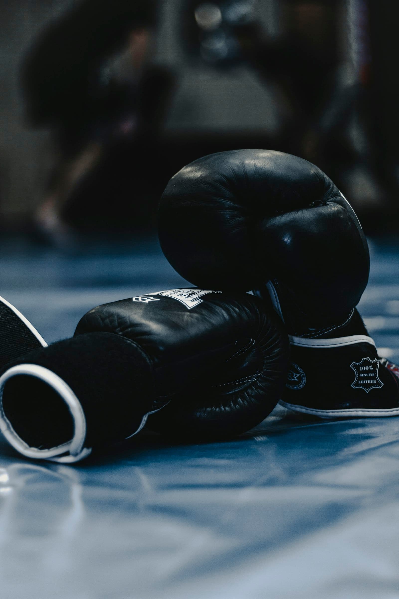 Boxer training in a dark gym — placeholder photography